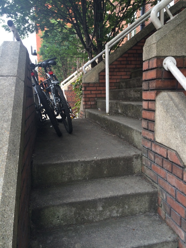 bicycle up house steps